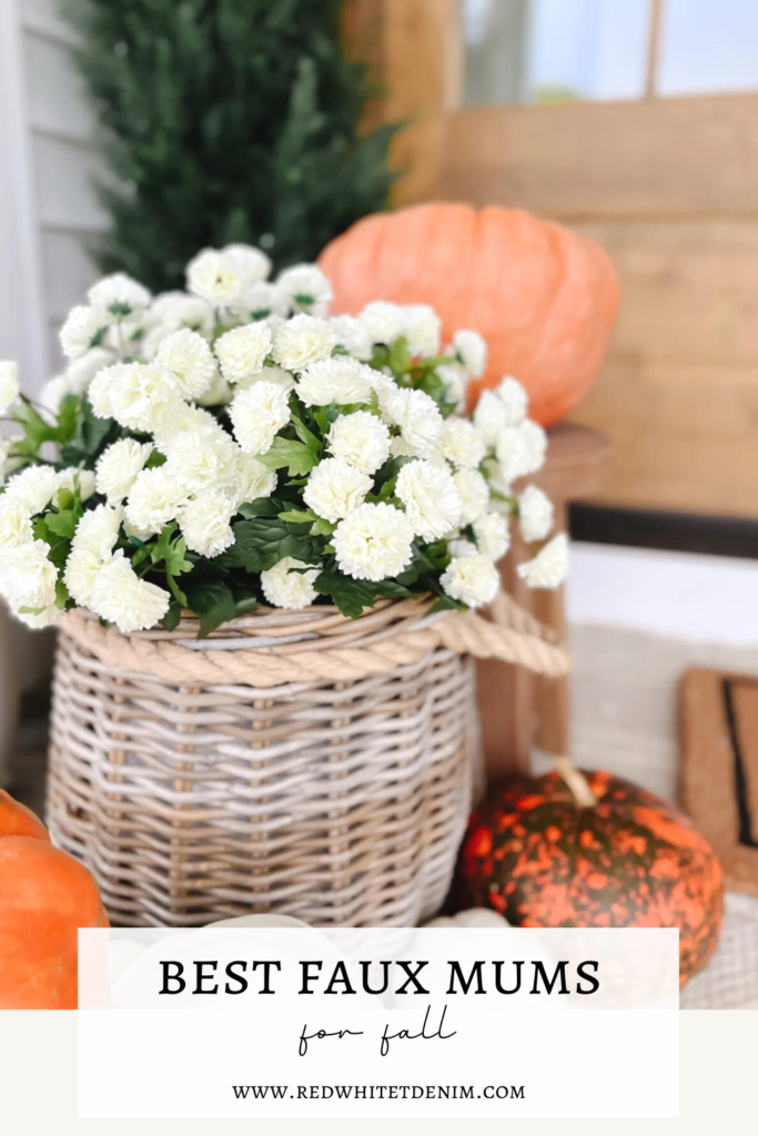 Best Fake Mums For Fall