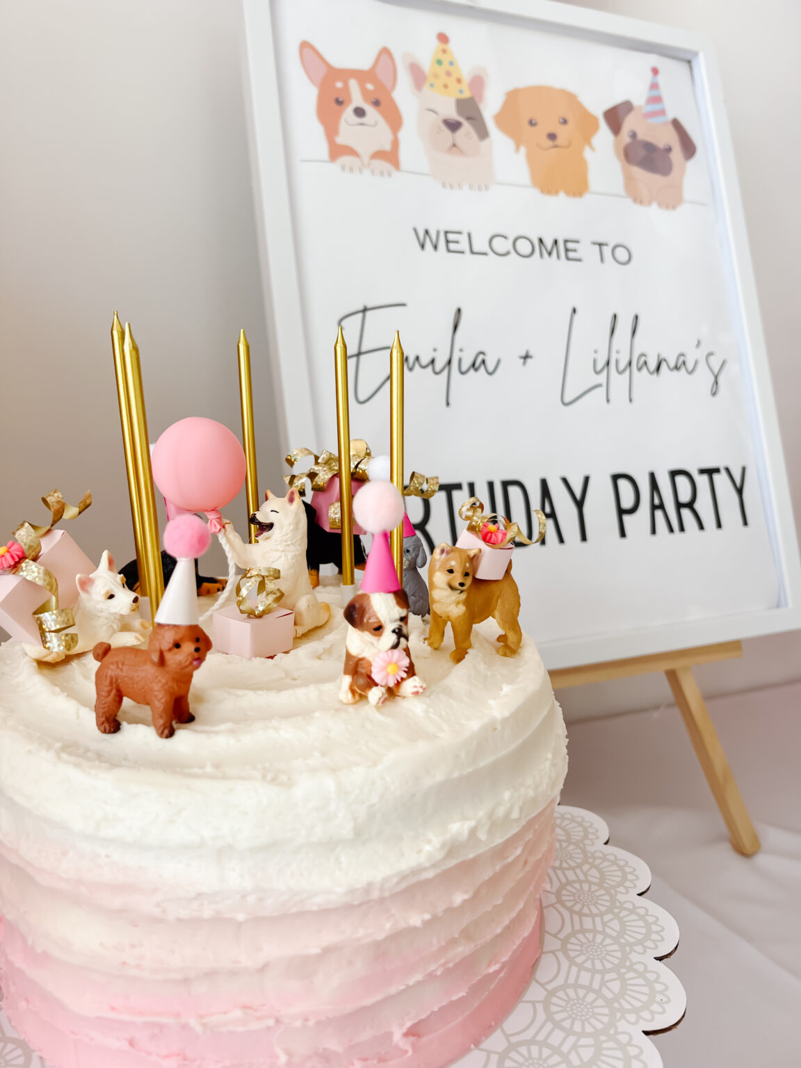 ADOPT A PUPPY BIRTHDAY PARTY - Red White & Denim