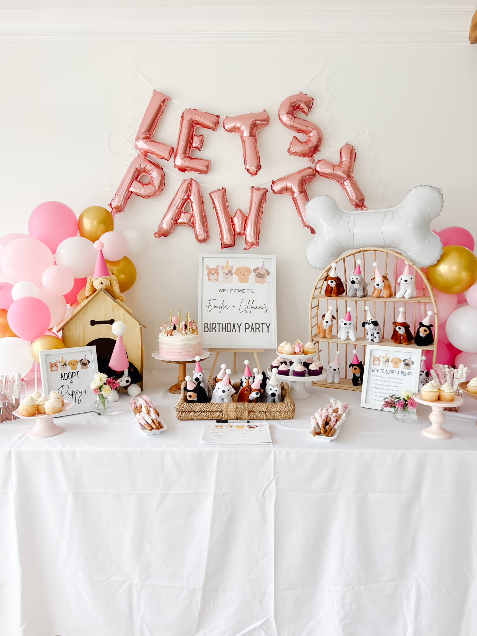 ADOPT A PUPPY BIRTHDAY PARTY - Red White & Denim